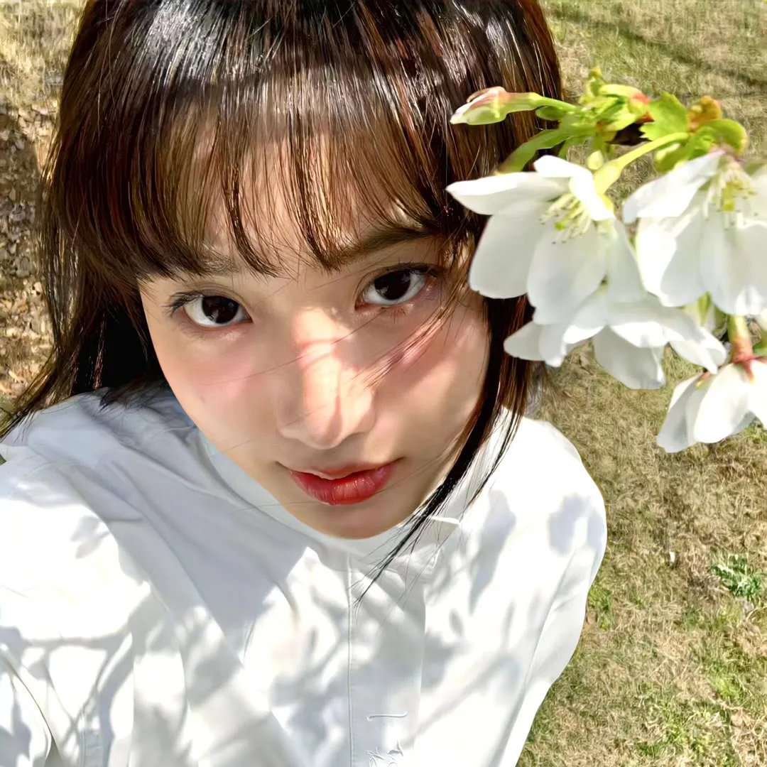 鉴你所见:花露森林